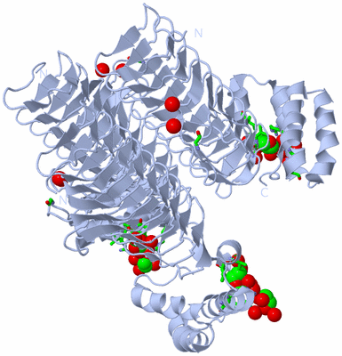 Image Biol. Unit 1 - sites