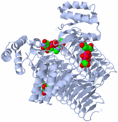 Image Biological Unit 1