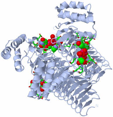 Image Biol. Unit 1 - sites