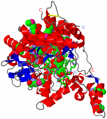 Image Asym./Biol. Unit - sites