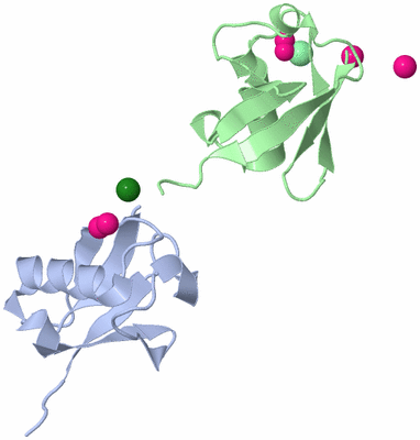 Image Asym./Biol. Unit