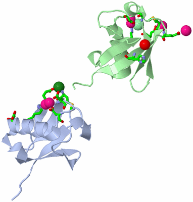 Image Asym./Biol. Unit - sites