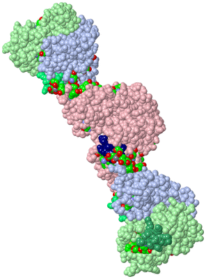 Image Biol. Unit 1 - sites