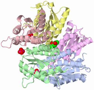 Image Biological Unit 1