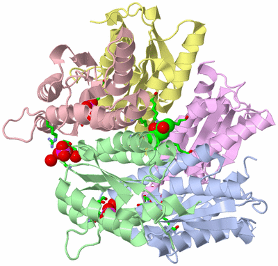 Image Biol. Unit 1 - sites