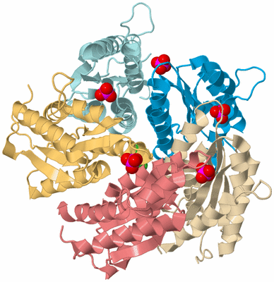 Image Biological Unit 2