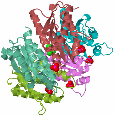 Image Biological Unit 3