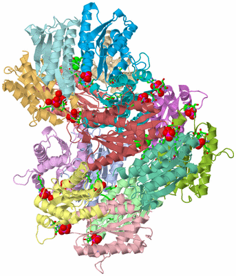 Image Asym. Unit - sites