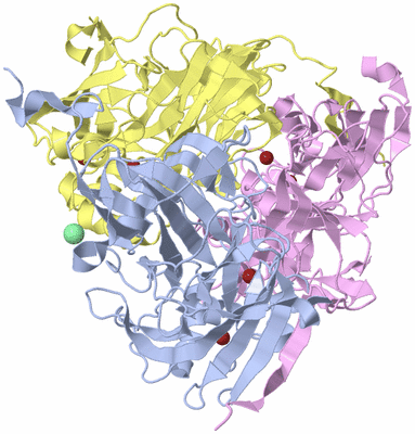 Image Biological Unit 1