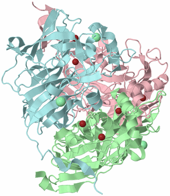 Image Biological Unit 2