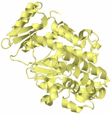 Image Biological Unit 4