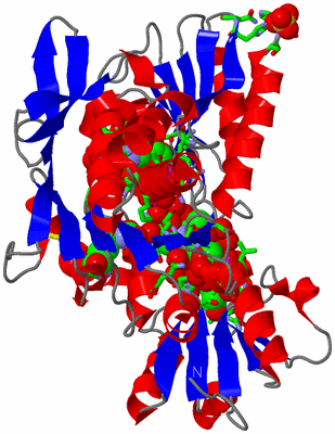 Image Asym./Biol. Unit - sites