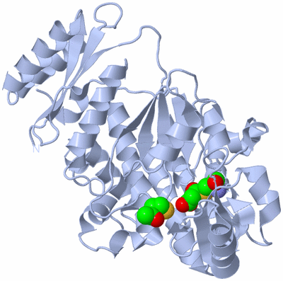 Image Biological Unit 1