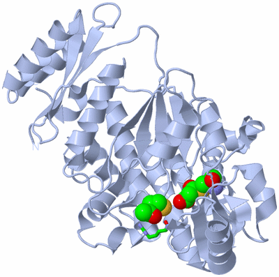 Image Biol. Unit 1 - sites