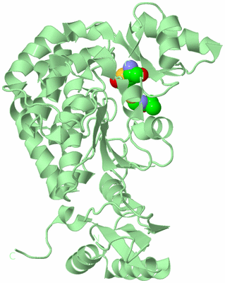 Image Biological Unit 2