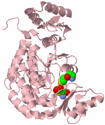 Image Biological Unit 3