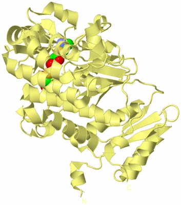 Image Biological Unit 4