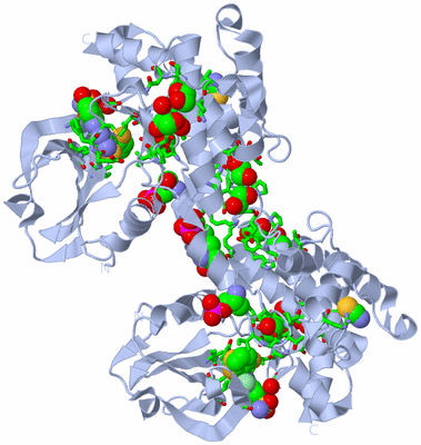 Image Biol. Unit 1 - sites