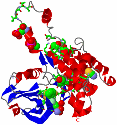 Image Asym. Unit - sites