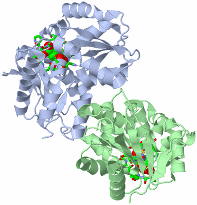 Image Asym./Biol. Unit - sites