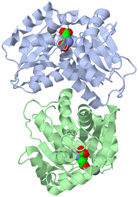 Image Asym./Biol. Unit