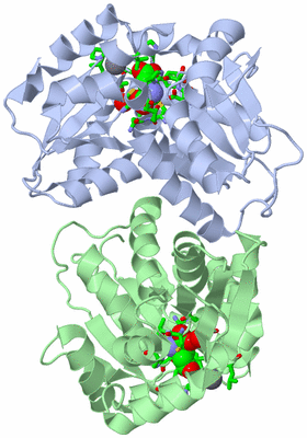 Image Asym./Biol. Unit - sites