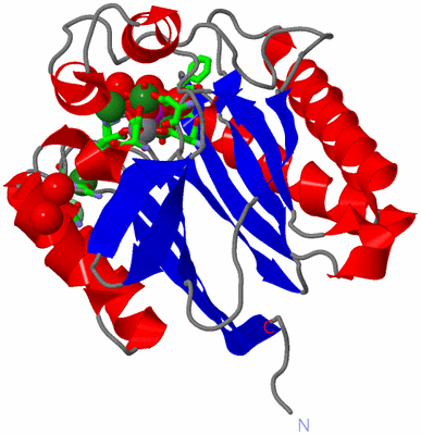 Image Asym./Biol. Unit - sites