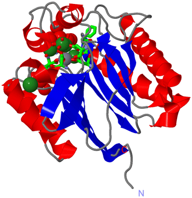 Image Asym./Biol. Unit - sites