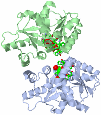 Image Asym./Biol. Unit - sites