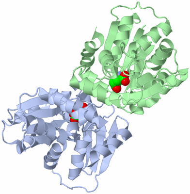 Image Asym./Biol. Unit