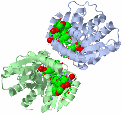 Image Asym./Biol. Unit - sites