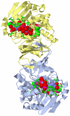 Image Biol. Unit 1 - sites