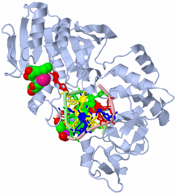 Image Biological Unit 1