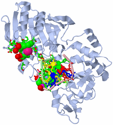 Image Biol. Unit 1 - sites