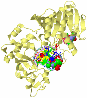 Image Biological Unit 2