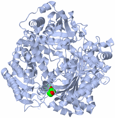 Image Biological Unit 1