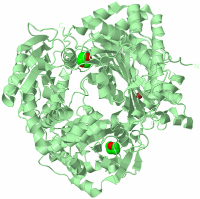 Image Biological Unit 2