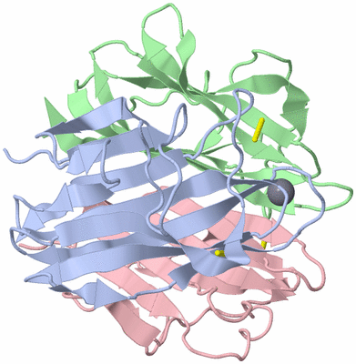 Image Biological Unit 1