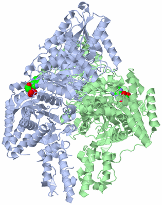 Image Asym./Biol. Unit