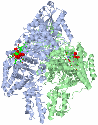 Image Asym./Biol. Unit - sites