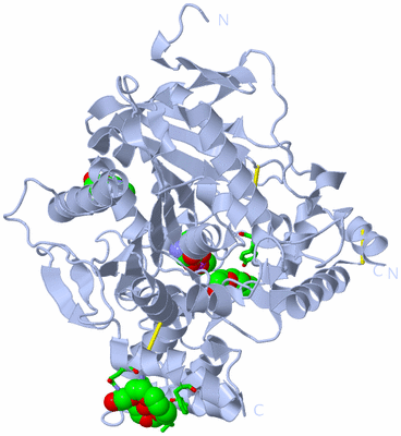 Image Biol. Unit 1 - sites