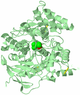 Image Biological Unit 2