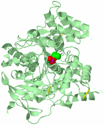 Image Biological Unit 2