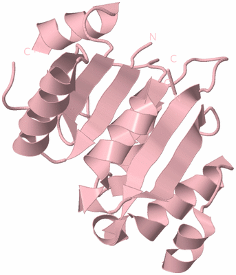 Image Biological Unit 3