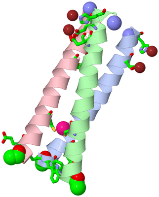 Image Asym./Biol. Unit - sites