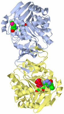 Image Biological Unit 1