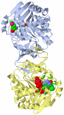 Image Biol. Unit 1 - sites