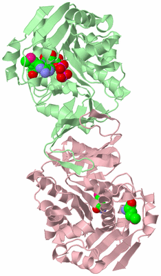 Image Biological Unit 2