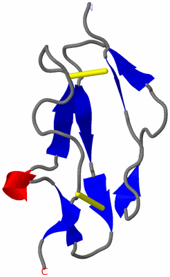 Image NMR Structure - model 1