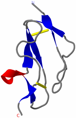 Image NMR Structure - model 1